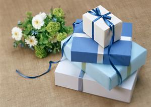 最高級の箒草によるほうきを通販で提供